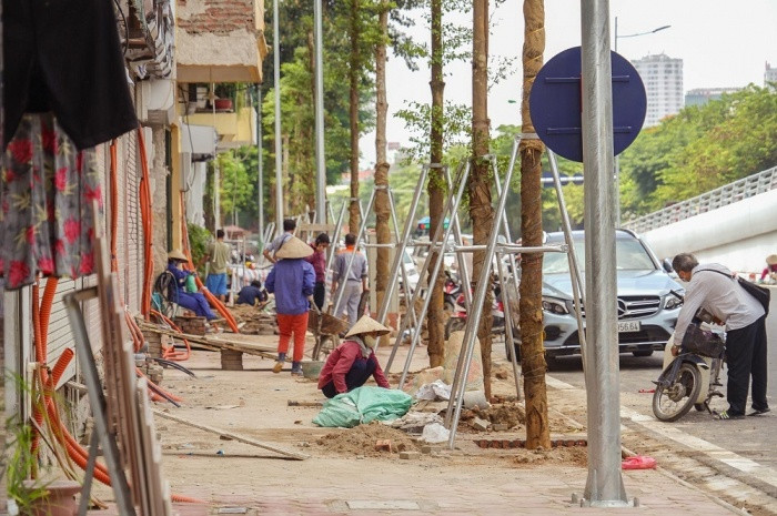 Đường Nguyễn Văn Huyên được chỉnh trang bằng hàng cây bàng Đài Loan sau khi mở rộng. Được biết, tại dự án này sẽ có 10 loại cây được trồng mới với tổng số gần 1.500 cây.