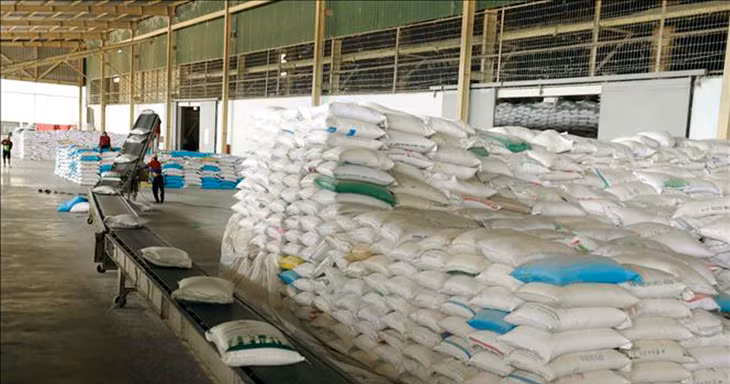 Xuất bán gần 90.000 tấn lương thực dự trữ quốc gia