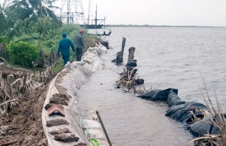 Đê bao cồn Hô bị sạt lở nghiêm trọng