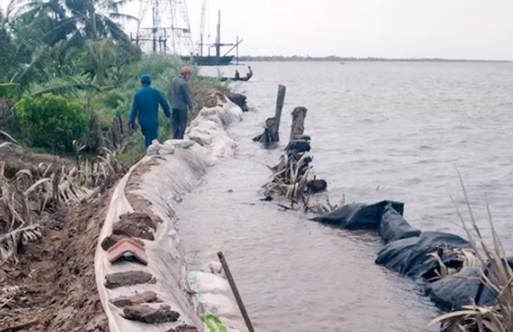 Đê bao cồn Hô bị sạt lở nghiêm trọng