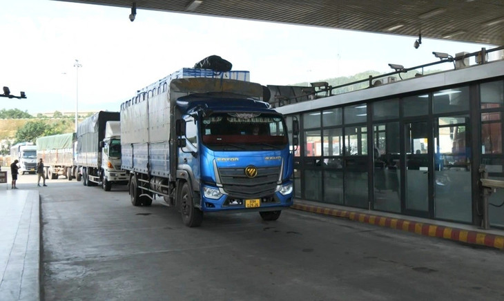 Năm 2024, khoảng 40.000 tấn vải tươi đã xuất khẩu thuận lợi qua cửa khẩu Kim Thành Năm 2024, khoảng 40.000 tấn vải tươi đã xuất khẩu thuận lợi qua cửa khẩu Kim Thành