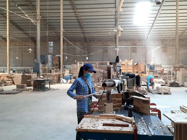 Một doanh nghiệp sản xuất gỗ tại Đồng Nai