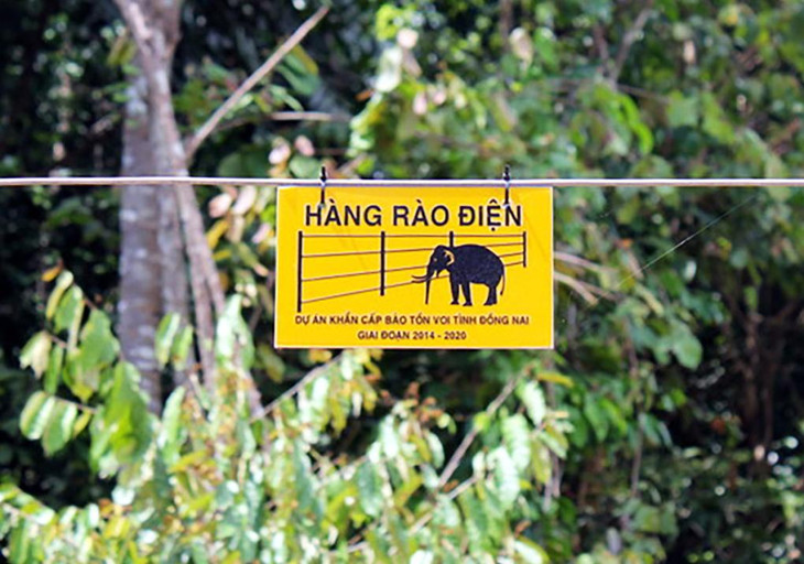 Hàng rào điện được khởi công năm 2017 Hàng rào điện được khởi công năm 2017