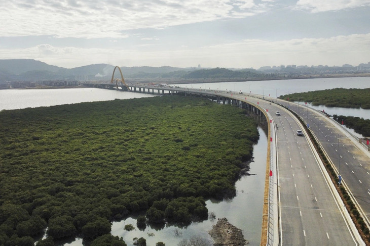 Cầu Bình Minh nối hai bờ vịnh Cửa Lục