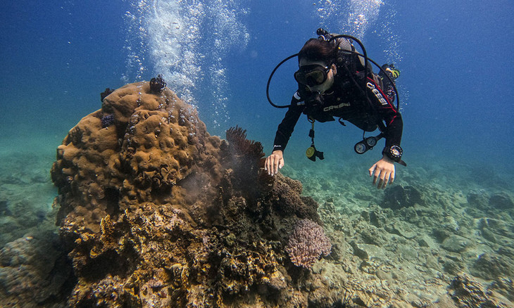 Khách du lịch lặn biển ở khu bảo tồn Hòn Mun