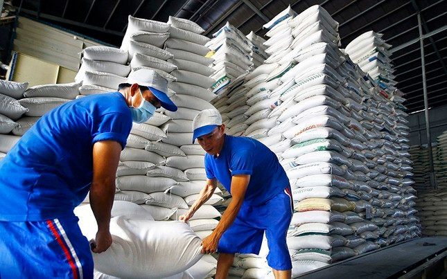 Giá gạo Việt Nam quay trở lại vị trí cao nhất thế giới