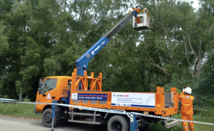 Công nhân Công ty Điện lực Củ Chi khai quang nhánh cây xanh trong hành lang lưới điện