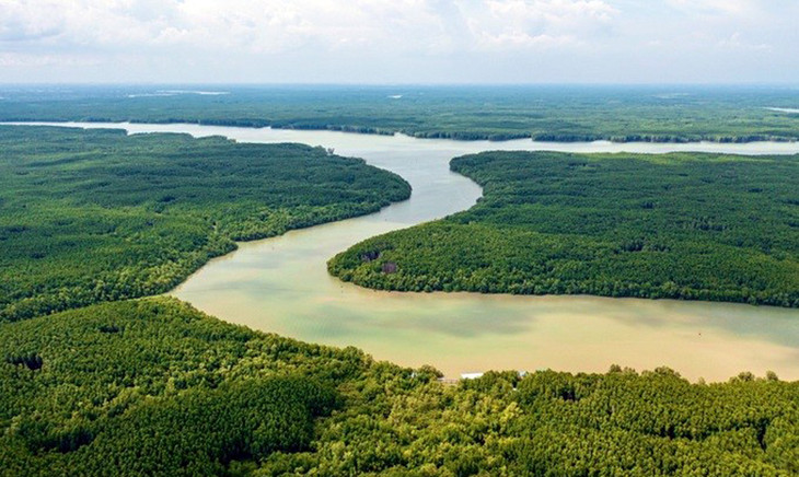 Tổng diện tích rừng phòng hộ huyện Cần Giờ là gần 35.000 ha