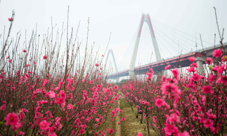 Hà Nội vừa công nhận cấp thành phố đối với Khu du lịch Nhật Tân