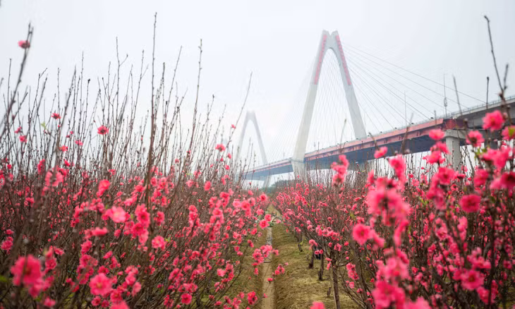 Hà Nội vừa công nhận cấp thành phố đối với Khu du lịch Nhật Tân Hà Nội vừa công nhận cấp thành phố đối với Khu du lịch Nhật Tân