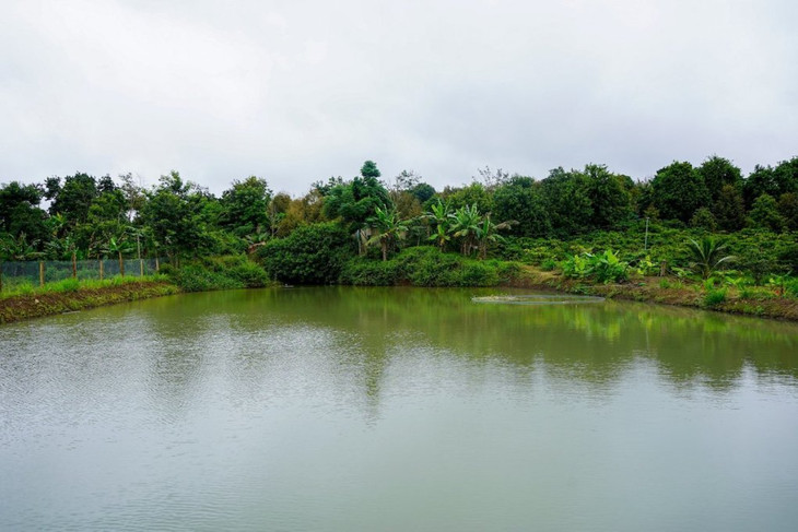 Hơn 1.500 ao chống hạn sẽ được UNDP bàn giao cho người dân các tỉnh