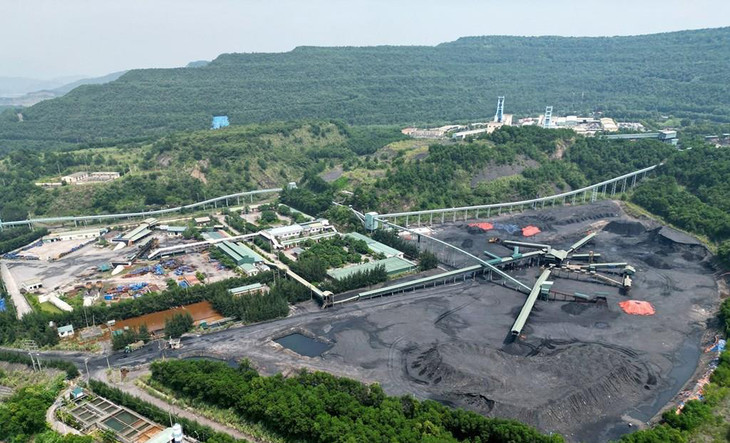 Công ty Tuyển than Hòn Gai