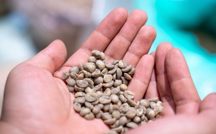 Xưởng rang cà phê đặc sản Xưởng rang cà phê đặc sản