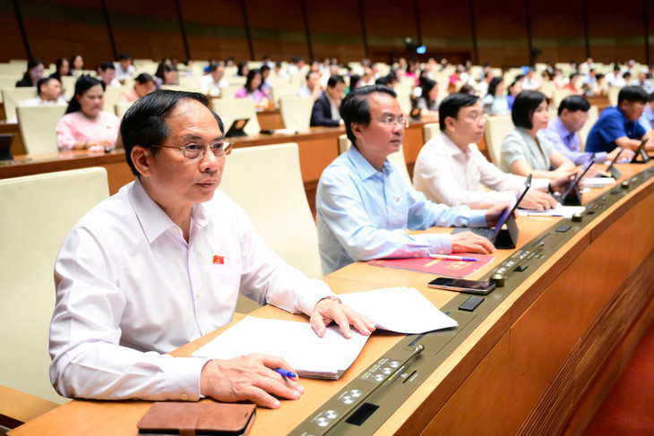 Các đại biểu Quốc hội tham dự phiên thảo luận