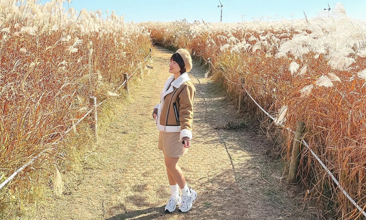 Khách Việt đến Busan, Hàn Quốc &quot;săn&quot; lá vàng