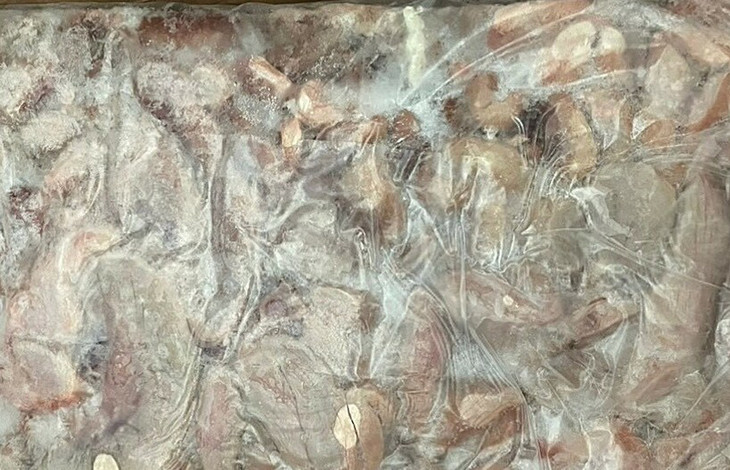 Lô nội tạng heo tại kho lạnh ở thành phố Thủ Đức Lô nội tạng heo tại kho lạnh ở thành phố Thủ Đức