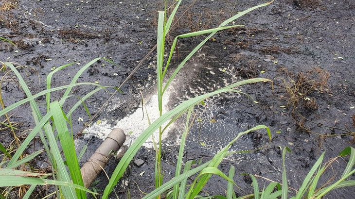 Kết quả thử nghiệm mẫu nước thải cho thấy vượt quy chuẩn cho phép. Ảnh minh họa Kết quả thử nghiệm mẫu nước thải cho thấy vượt quy chuẩn cho phép. Ảnh minh họa