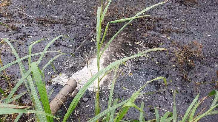 Kết quả thử nghiệm mẫu nước thải cho thấy vượt quy chuẩn cho phép. Ảnh minh họa