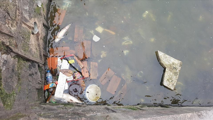 Cá chết, rác thải sinh hoạt đầy rẫy dưới lòng hồ Cá chết, rác thải sinh hoạt đầy rẫy dưới lòng hồ