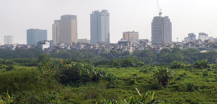 Đứng từ giữa dẻo đất giữa sông nhìn về phía trung tâm, cây cối mọc um tùm như khu rừng lá thấp giữa lòng phố thị.