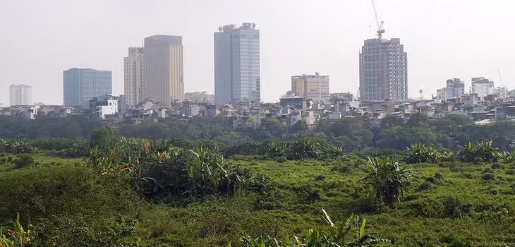 Đứng từ giữa dẻo đất giữa sông nhìn về phía trung tâm, cây cối mọc um tùm như khu rừng lá thấp giữa lòng phố thị.