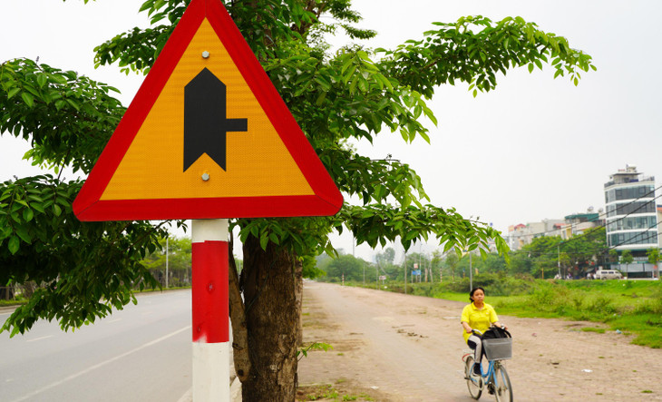 Vỉa hè có chiều rộng từ 7-10m, được trồng hàng cây giáng hương. Hầu hết, các cây này đều đang sinh trưởng tốt.