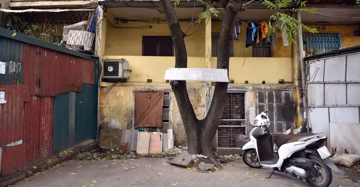 Cửa sổ thấp gần ngang bằng mặt đường