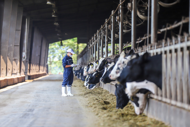 Tinh thần lạc quan, khao khát cống hiến của những con người TH gây ấn tượng với tất cả những ai trực tiếp đến tham quan, làm việc Tinh thần lạc quan, khao khát cống hiến của những con người TH gây ấn tượng với tất cả những ai trực tiếp đến tham quan, làm việc