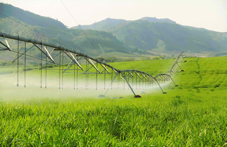 Tập đoàn TH đầu tư hệ thống cánh tay tưới tự động công nghệ cao dài từ 500 - 700m trên mỗi cánh đồng Tập đoàn TH đầu tư hệ thống cánh tay tưới tự động công nghệ cao dài từ 500 - 700m trên mỗi cánh đồng