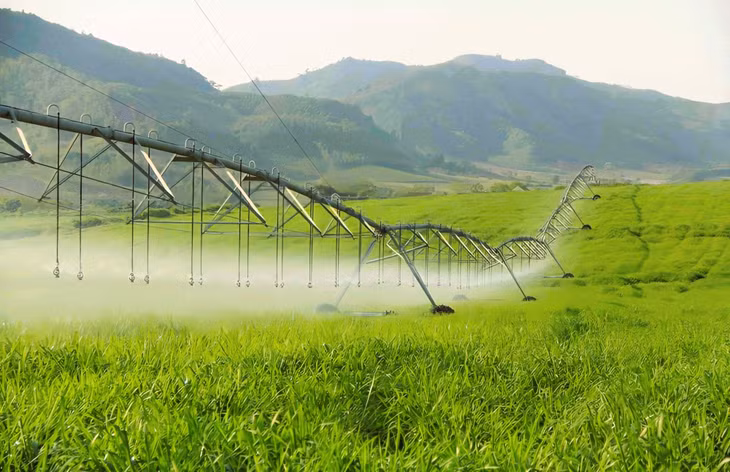 Tập đoàn TH đầu tư hệ thống cánh tay tưới tự động công nghệ cao dài từ 500 - 700m trên mỗi cánh đồng