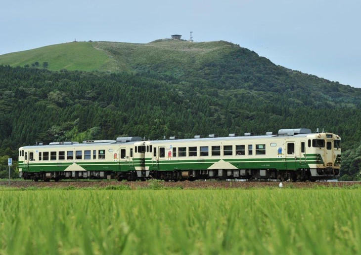 Toa xe cũ mà VNR đề nghị nhập khẩu. Ảnh: Công ty Đường sắt Đông Nhật Bản (JR East)