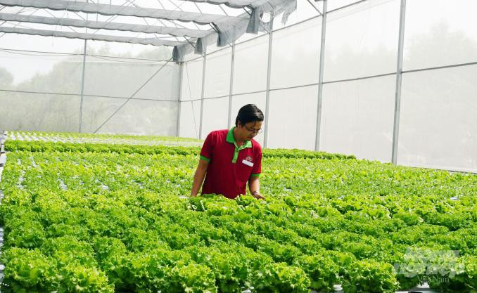 Khu trang trại trồng cây dược liệu và rau sạch tại phường Đông Sơn, thị xã Bỉm Sơn góp phần thúc đẩy phát triển khu công viên dược phẩm của Việt Nam Khu trang trại trồng cây dược liệu và rau sạch tại phường Đông Sơn, thị xã Bỉm Sơn góp phần thúc đẩy phát triển khu công viên dược phẩm của Việt Nam