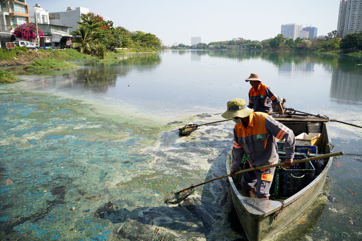 Công nhân chèo xuồng vớt tảo chết dạt vào góc hồ ở đường Hoàng Hoa Thám Công nhân chèo xuồng vớt tảo chết dạt vào góc hồ ở đường Hoàng Hoa Thám