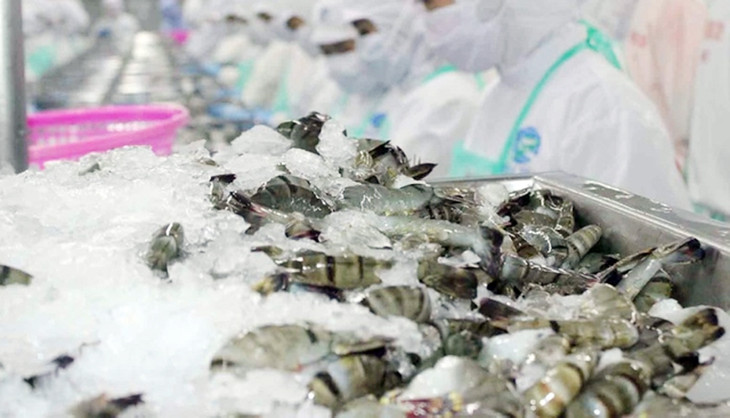 Tháng 1, xuất khẩu tôm đạt 242 triệu USD, tăng 71% so với cùng kỳ 2023