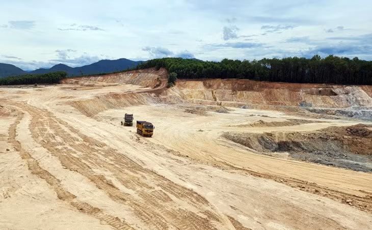 Khu rừng keo tràm bị Công ty cổ phần Lâm nghiệp 1-5 khai thác đất trái phép