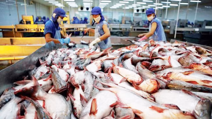 Hoa Kỳ rà soát thuế chống phá giá một số sản phẩm của Việt Nam. Ảnh minh họa