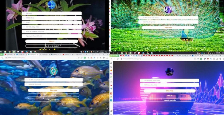 Một số trang web lừa đảo được cơ quan điều tra khôi phục dữ liệu Một số trang web lừa đảo được cơ quan điều tra khôi phục dữ liệu