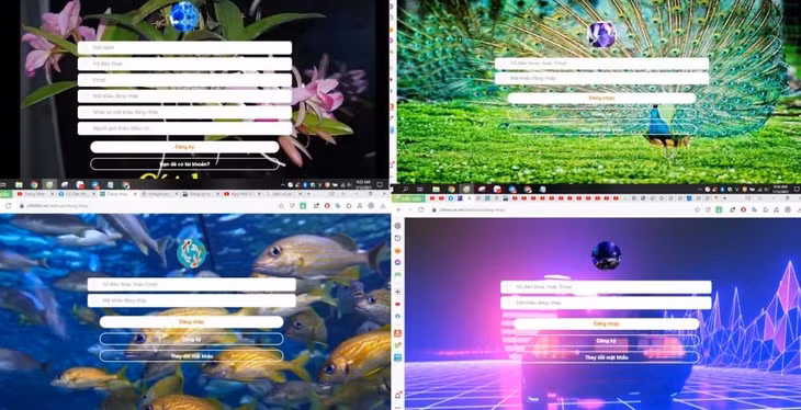 Một số trang web lừa đảo được cơ quan điều tra khôi phục dữ liệu