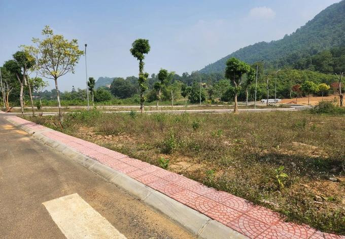 Nhiều lô đất đấu giá ở huyện Đông Anh có giá trúng cao hơn 100 triệu đồng/m2. Ảnh minh họa