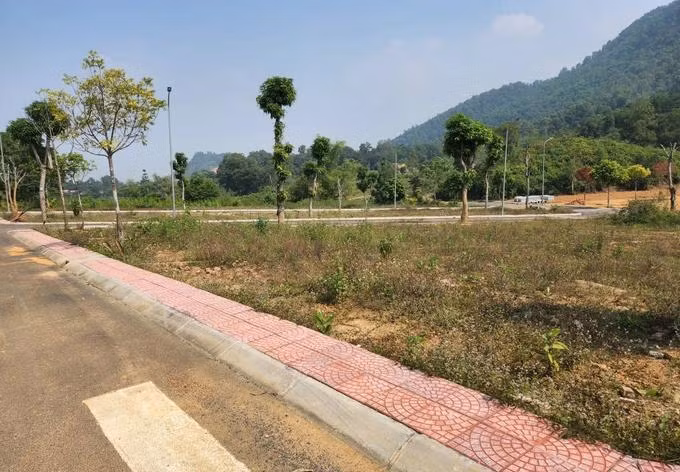 Nhiều lô đất đấu giá ở huyện Đông Anh có giá trúng cao hơn 100 triệu đồng/m2. Ảnh minh họa