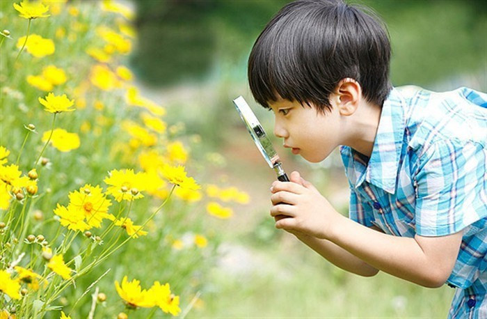 Thiên nhiên là yếu tố quan trọng giúp trẻ cải thiện sức khỏe thể chất, tinh thần và cảm xúc, đồng thời phát triển các kỹ năng nhận thức, các giác quan và khả năng học tập. (Nguồn ảnh: Internet)