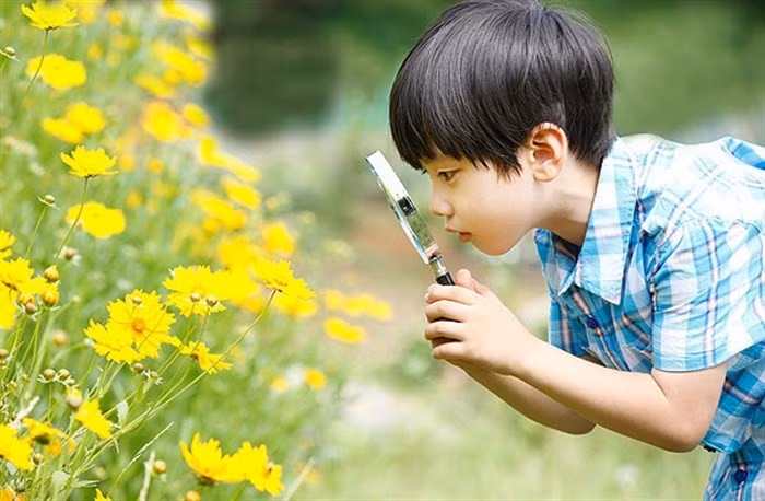 Thiên nhiên là yếu tố quan trọng giúp trẻ cải thiện sức khỏe thể chất, tinh thần và cảm xúc, đồng thời phát triển các kỹ năng nhận thức, các giác quan và khả năng học tập. (Nguồn ảnh: Internet)