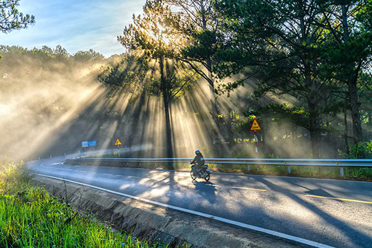 UBND tỉnh Lâm Đồng vừa thống nhất cho lắp thêm 20 camera trên các điểm tiềm ẩn TNGT dọc Quốc lộ 20 và đèo Mimosa