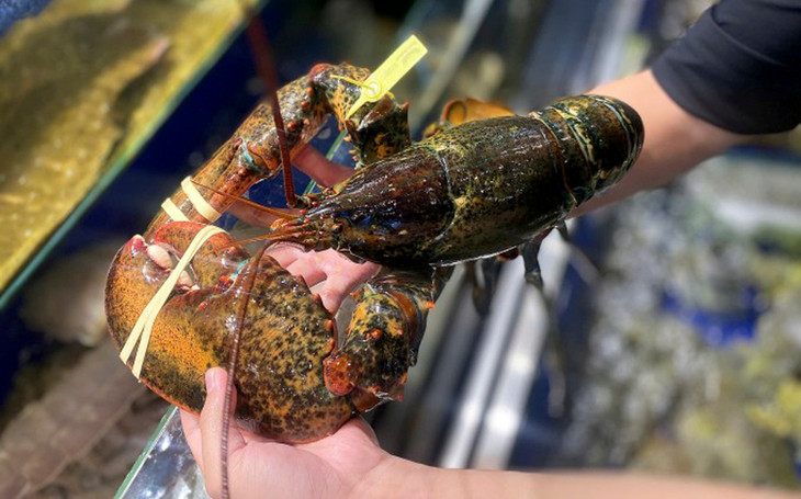 Tôm hùm Mỹ tại cửa hàng hải sản ở Quận 7, TP.HCM