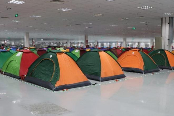 Cả công ty như một bãi cắm trại đặc biệt.