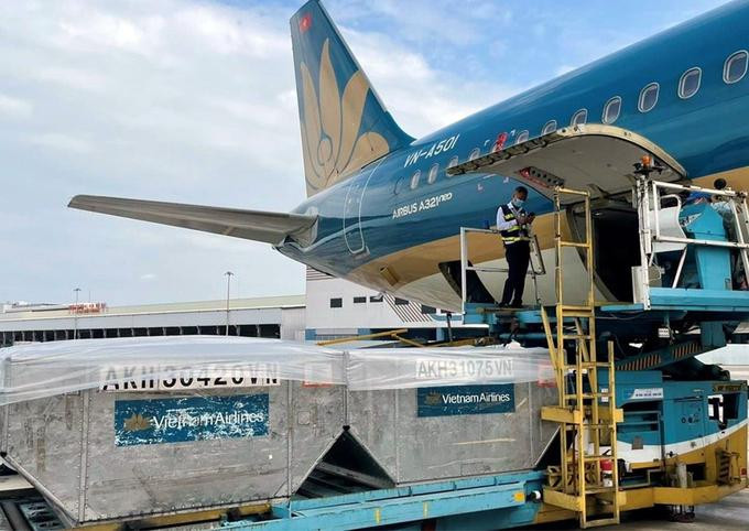 Máy bay Vietnam Airlines vận chuyển vaccine