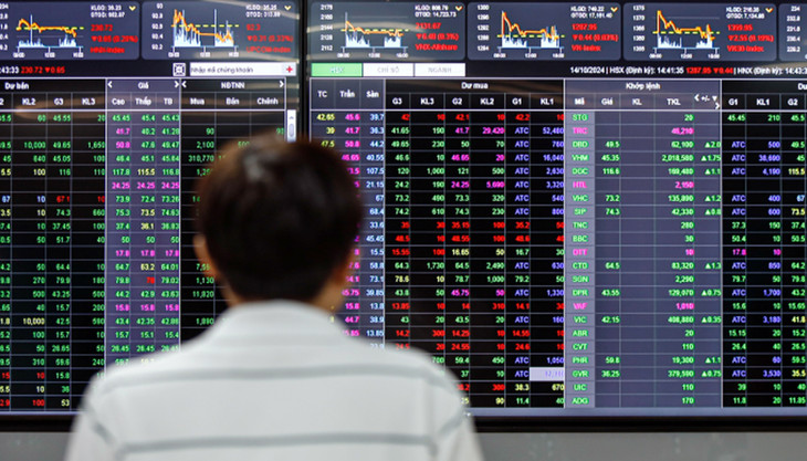 Nhà đầu tư quan sát bảng giá tại một công ty chứng khoán ở quận 1 (TP.HCM)