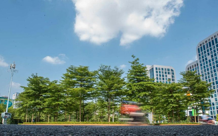 Việc yêu cầu định giá các loại cây xanh trên địa bàn Thủ đô giai đoạn 2016 - 2018 nhằm phục vụ điều tra vụ án