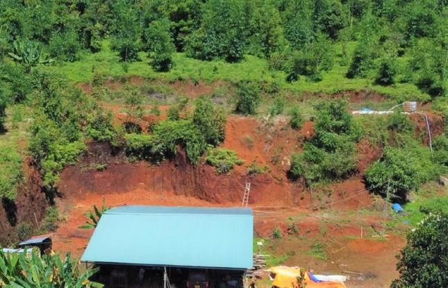 Phần đất quy hoạch 3 loại rừng được lãnh đạo ký cấp "sổ đỏ" sai quy định Phần đất quy hoạch 3 loại rừng được lãnh đạo ký cấp "sổ đỏ" sai quy định