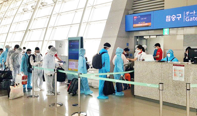 Đưa hơn 230 công dân Việt Nam từ Hàn Quốc về nước an toàn